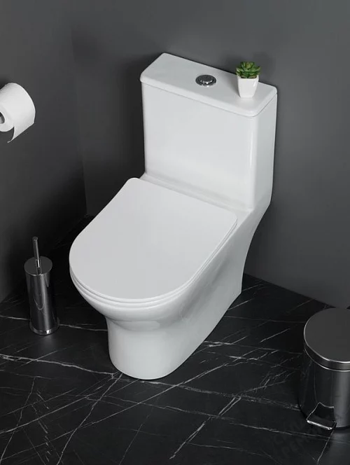 Фото Унитаз моноблок BelBagno Lounge BB8618CPR-MN/SC безободковый купить в Улан-Удэ: цена, описание, фото. Интернет-магазин 1