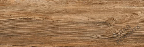 Фото Керамогранит матовый Lasselsberger Ипанема 6264-0011 (структурный) коричневый 200*600*8,5 – купить в Улан-Удэ: цена, описание, фото. Интернет-магазин 3